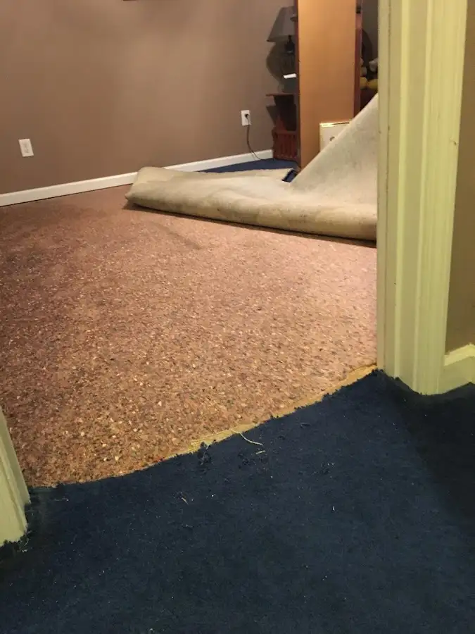 Carpet pad removal revealing water damage during Drying & Dehumidification in Easley
